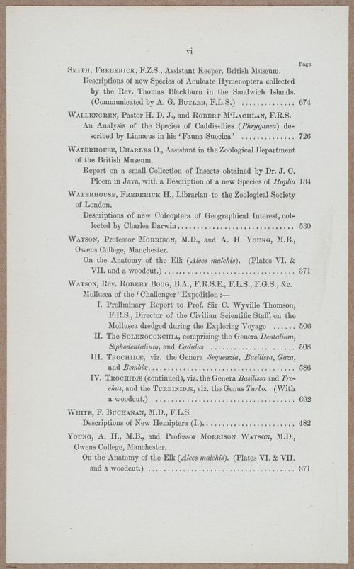 E805 - Linnean - i14078