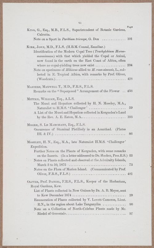 E805 - Linnean - i14101