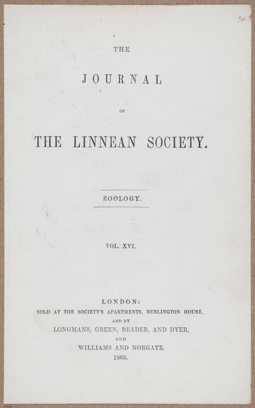 E805 - Linnean - i14114