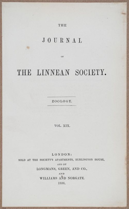 E805 - Linnean - i14344