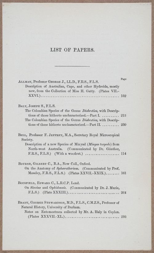 E805 - Linnean - i14346