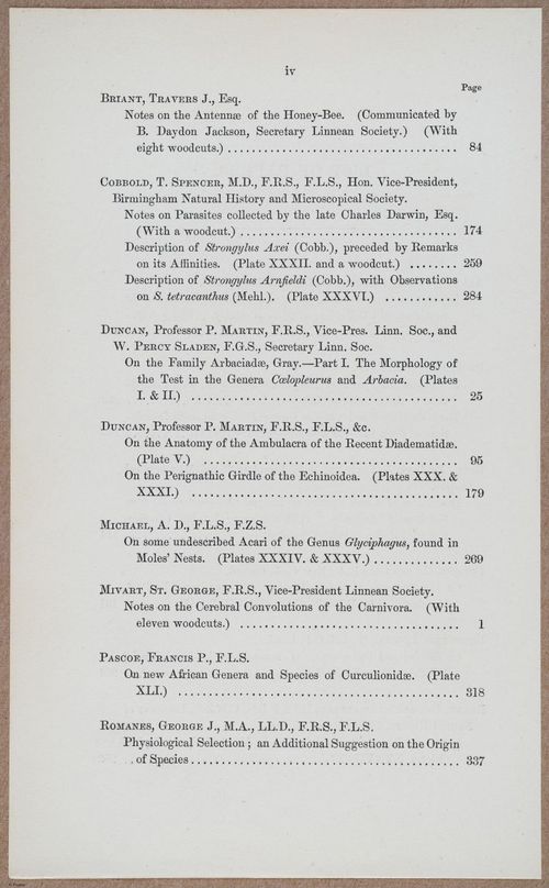 E805 - Linnean - i14347
