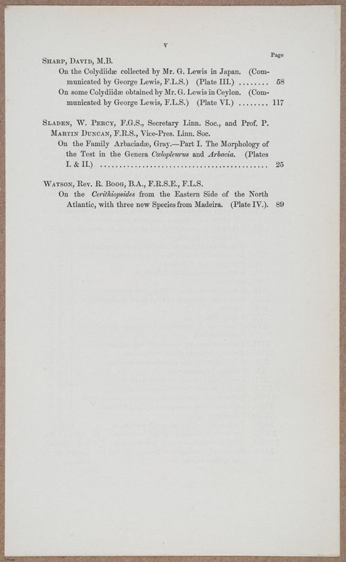 E805 - Linnean - i14348