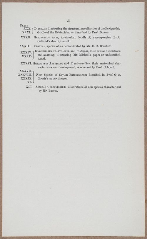 E805 - Linnean - i14350