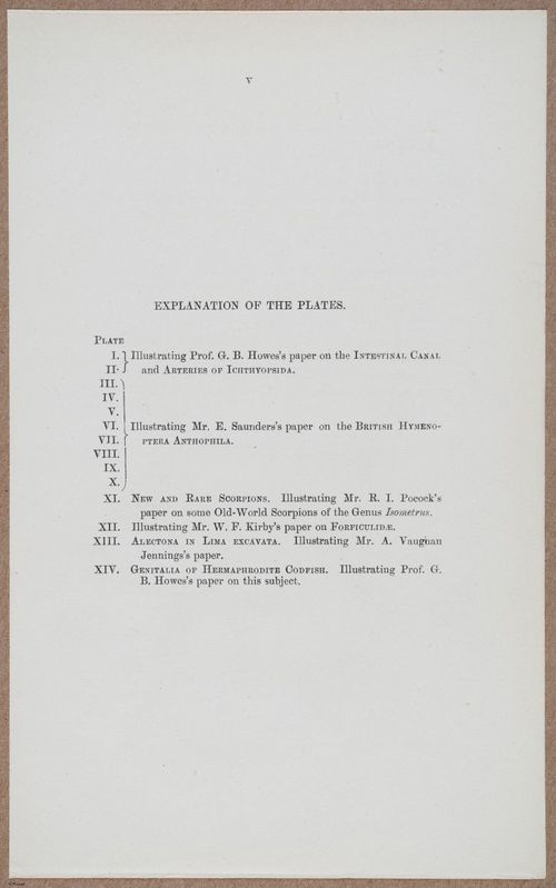 E805 - Linnean - i14435