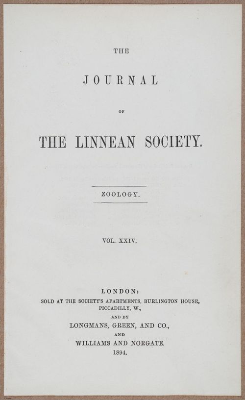 E805 - Linnean - i14449