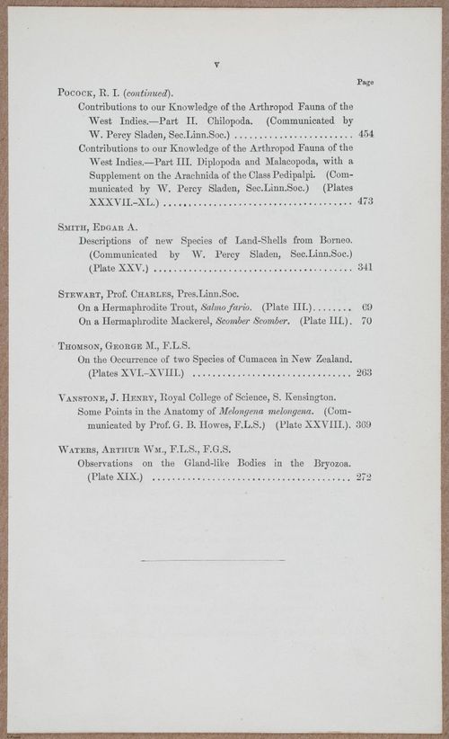 E805 - Linnean - i14453