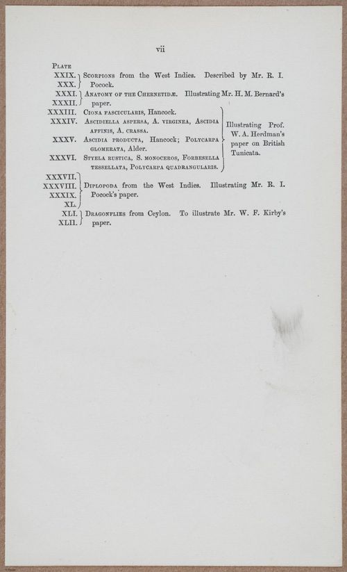 E805 - Linnean - i14455