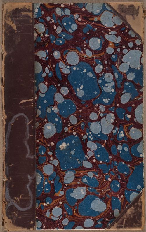 E805 - Linnean - i14502