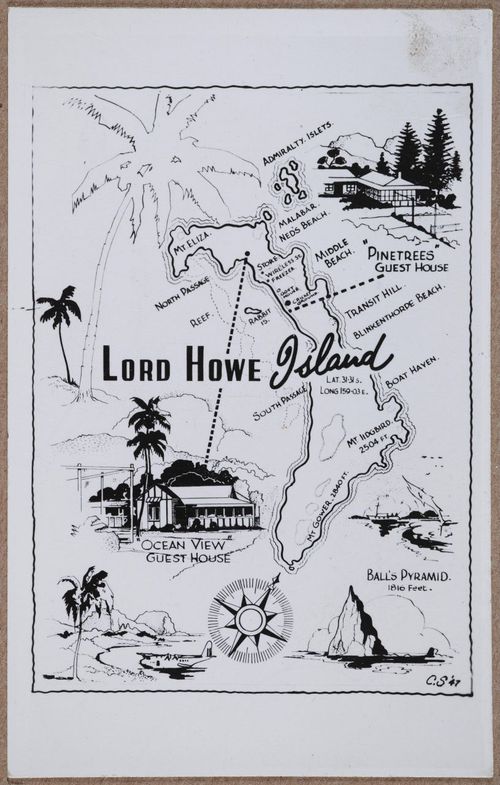 E796 - Lord Howe Large - i15071