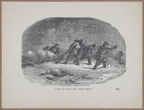 E810 - Frozen Seas - i14797