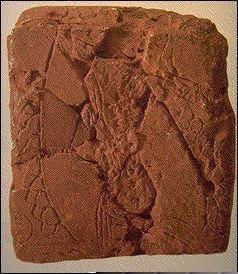 #100 Earliest Known Map