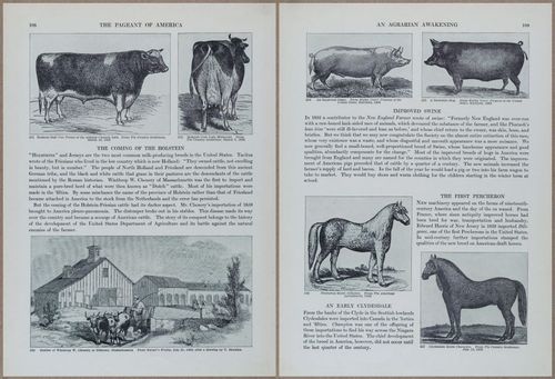 E816 - Pageant of America, Vol 3 - 16438-16439