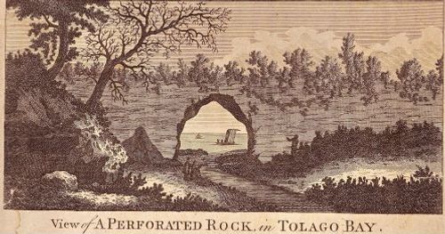 View of A Perforated Rock, in Tolago Bay