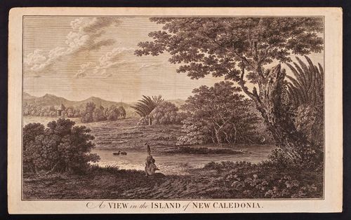 A View in the Island of New Caledonia