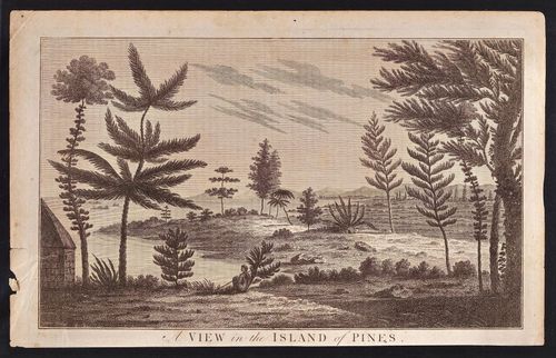 A View in the Island of Pines