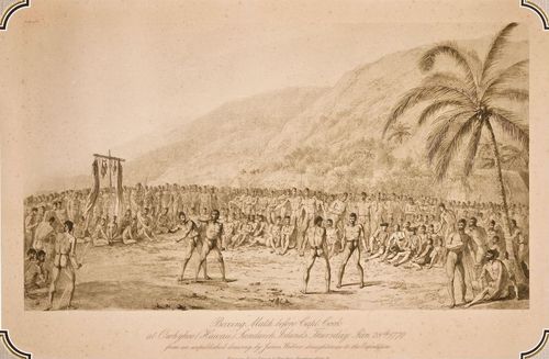 Boxing Match before Captain Cook