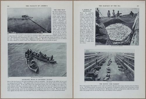 E816 - Pageant of America, Vol 3 - 16638-16639